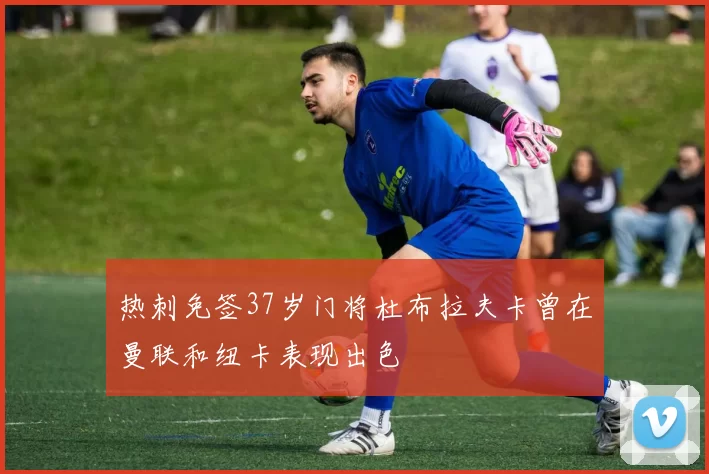 热刺免签37岁门将杜布拉夫卡曾在曼联和纽卡表现出色